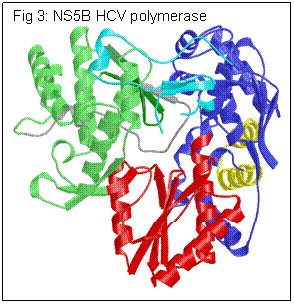 future-therapies-for-eradication-of-hepatitis-c-3